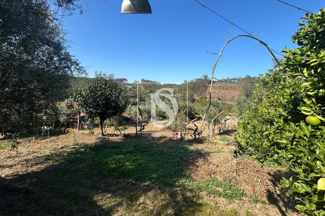 Terreno para Venda em Pala Foto 10