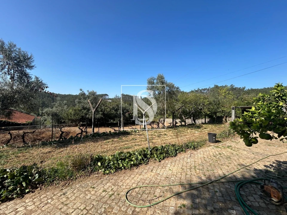 Terreno para Venda em Pala Foto 3