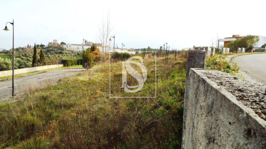 Terreno para Venda em São João Baptista e Santa Maria dos Olivais Foto 18