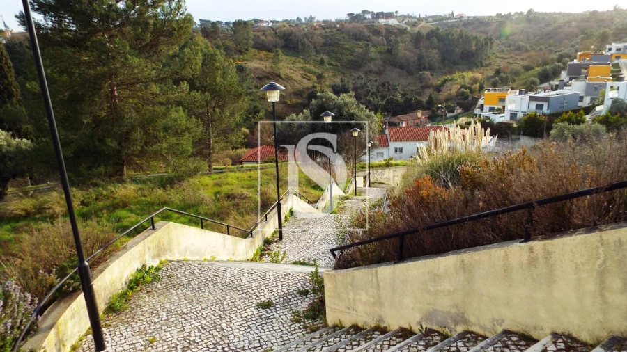Terreno para Venda em São João Baptista e Santa Maria dos Olivais Foto 7