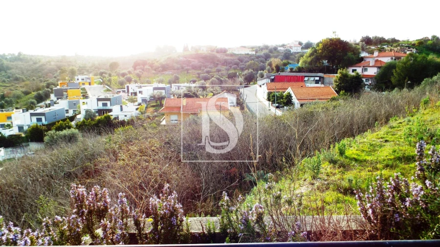 Terreno para Venda em São João Baptista e Santa Maria dos Olivais Foto 8