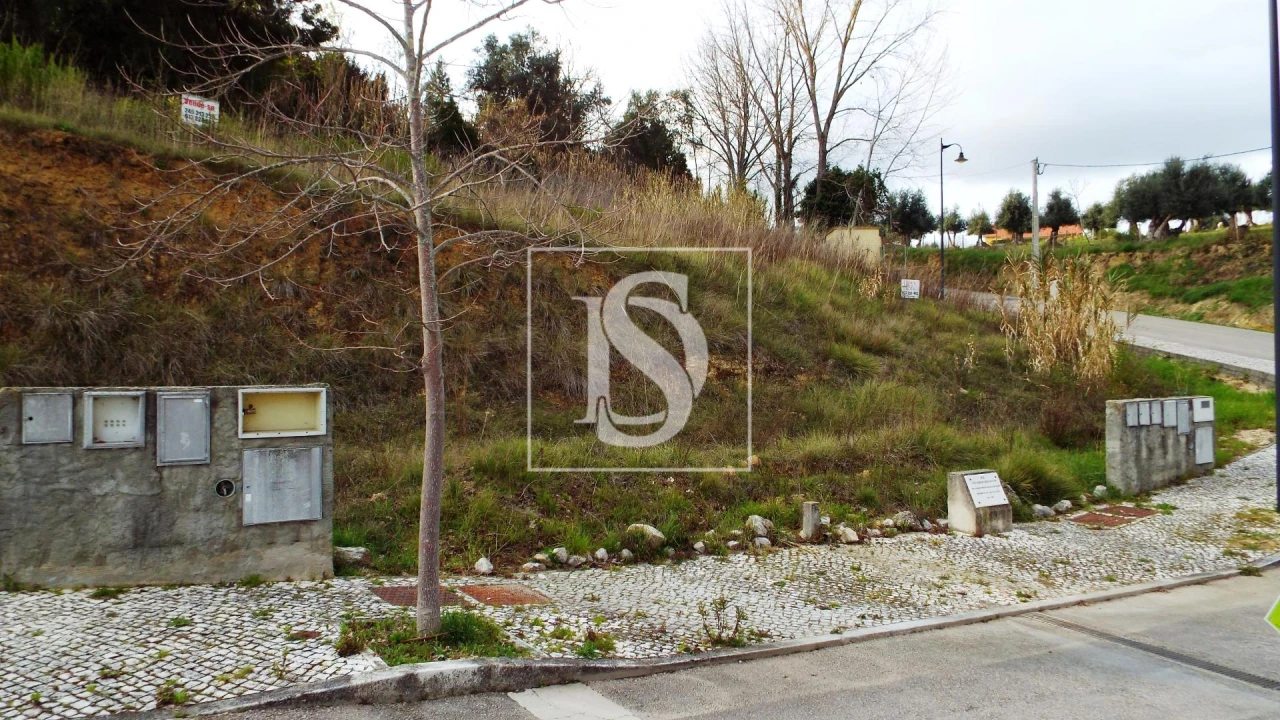 Terreno para Venda em São João Baptista e Santa Maria dos Olivais Foto 15