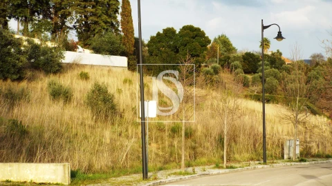 Terreno para Venda em São João Baptista e Santa Maria dos Olivais