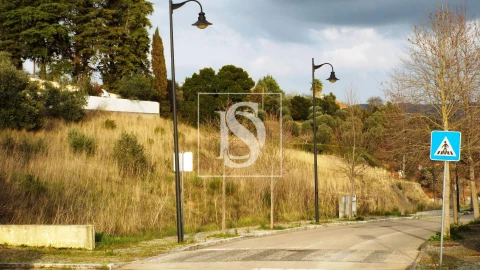 Terreno para Venda em São João Baptista e Santa Maria dos Olivais