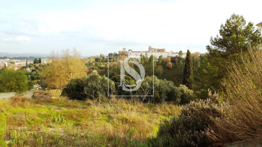 Terreno para Venda em São João Baptista e Santa Maria dos Olivais Foto 11