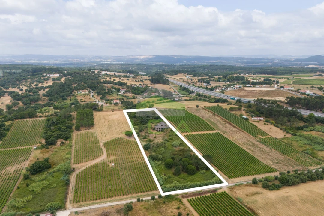 Terreno para Venda em Azambuja Foto 3