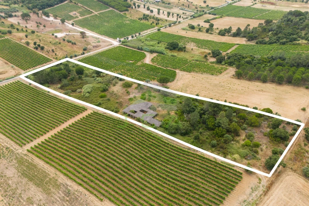 Terreno para Venda em Azambuja Foto 16