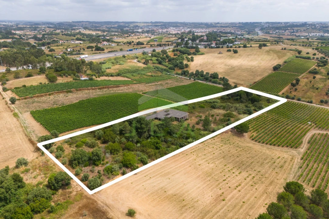 Terreno para Venda em Azambuja Foto 18