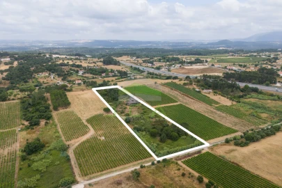 Terreno para Venda em Azambuja