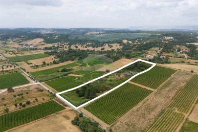 Terreno para Venda em Azambuja