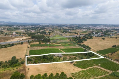 Terreno para Venda em Azambuja