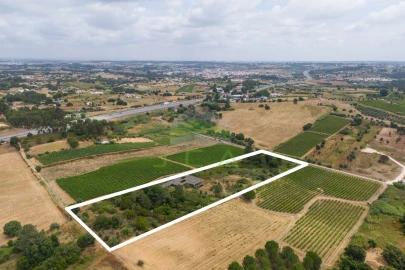 Terreno para Venda em Azambuja