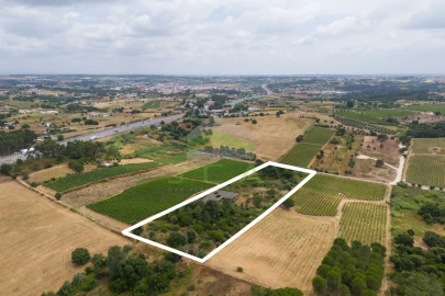 Terreno para Venda em Azambuja