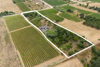 Terreno para Venda em Azambuja