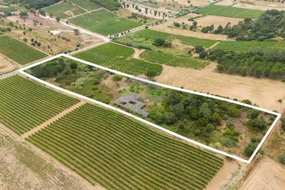 Terreno para Venda em Azambuja
