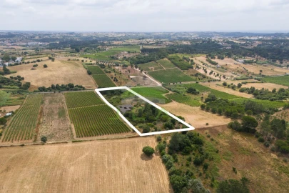 Terreno para Venda em Azambuja