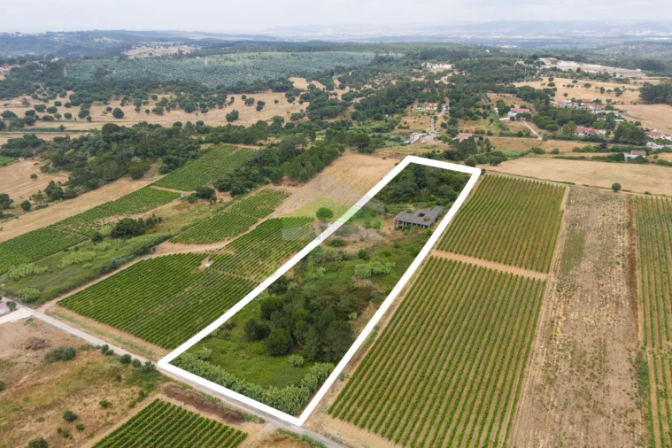Terreno para Venda em Azambuja Foto 5