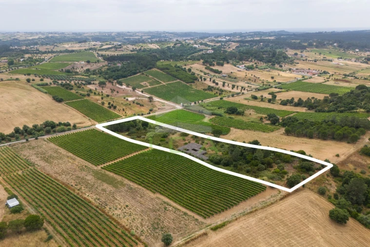 Terreno para Venda em Azambuja Foto 15