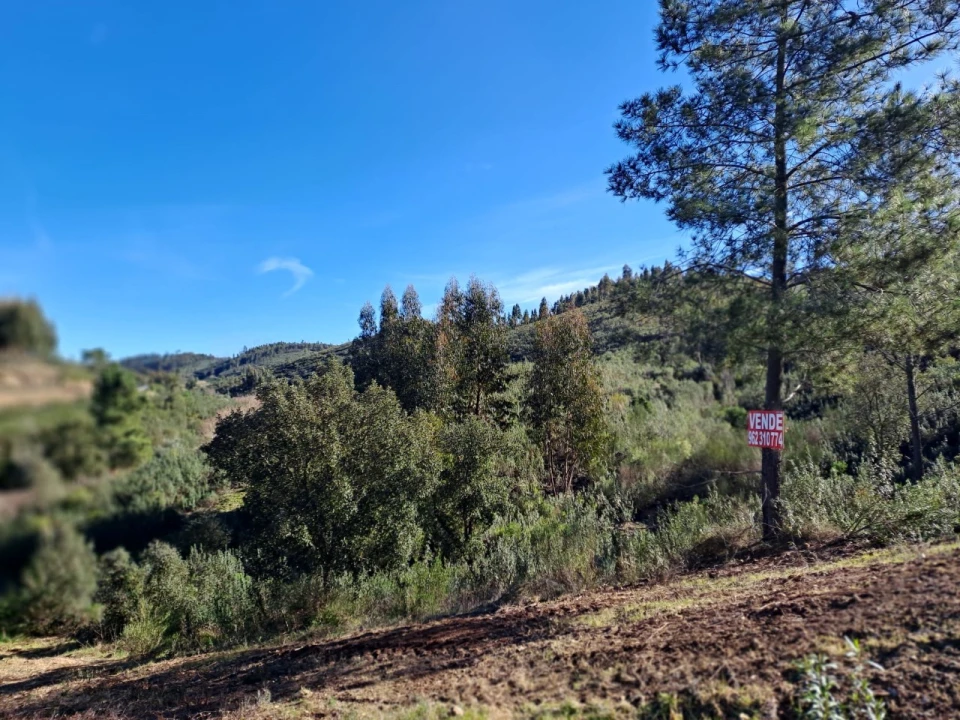 Terreno Agricola ou Rústico para Venda em Cardigos Foto 2