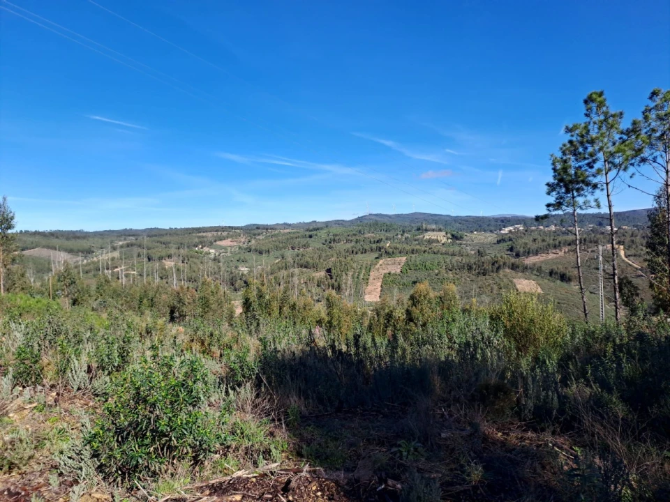 Terreno Agricola ou Rústico para Venda em Cardigos Foto 10