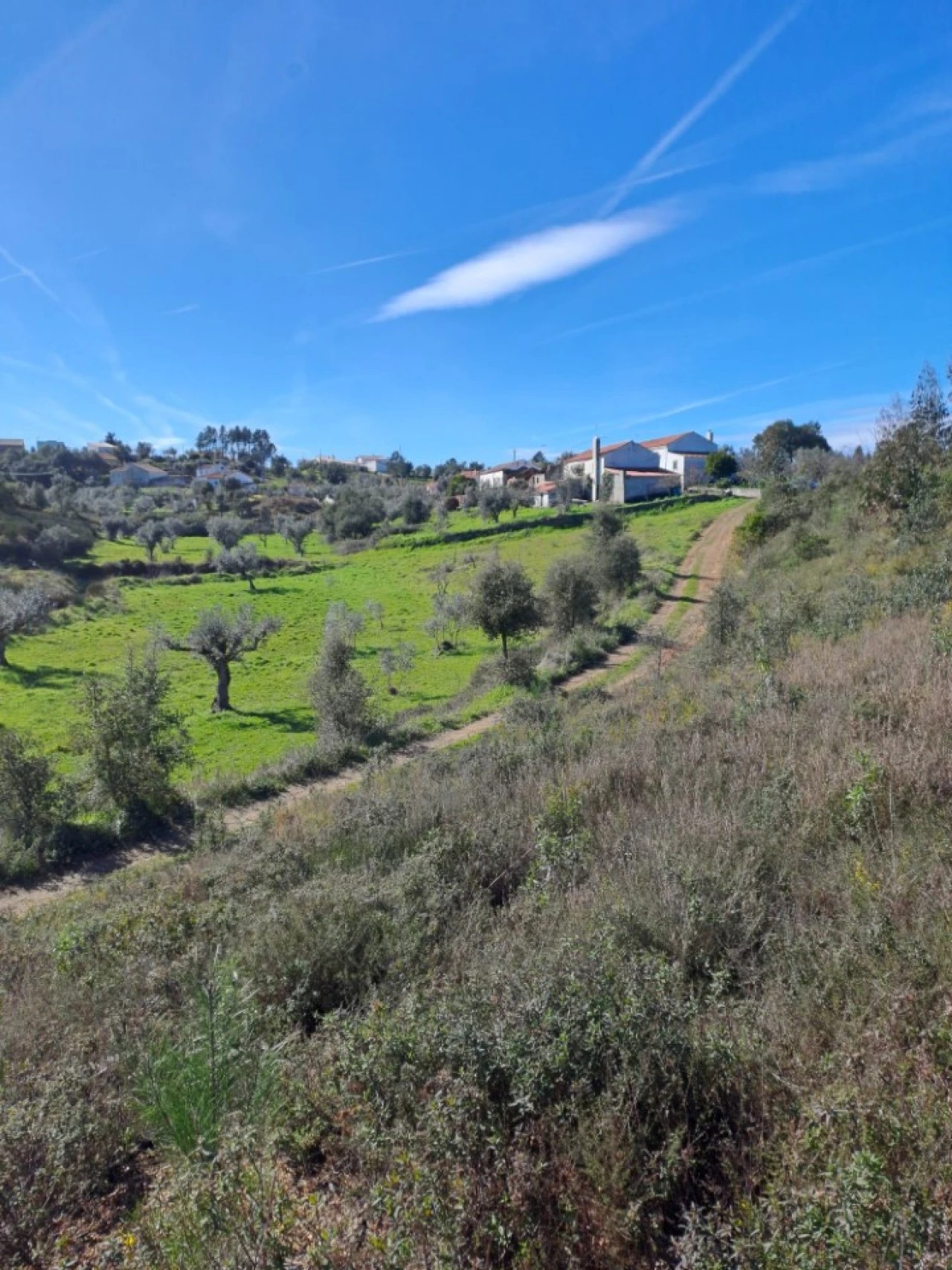Terreno Agricola ou Rústico para Venda em Cardigos Foto 20