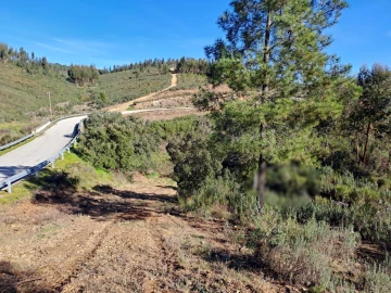 Terreno Agricola ou Rústico para Venda em Cardigos