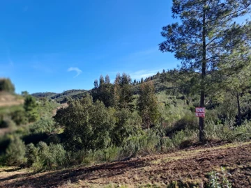 Terreno Agricola ou Rústico para Venda em Cardigos