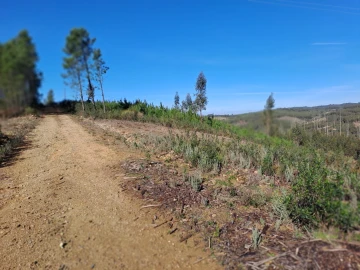 Terreno Agricola ou Rústico para Venda em Cardigos