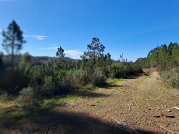 Terreno Agricola ou Rústico para Venda em Cardigos