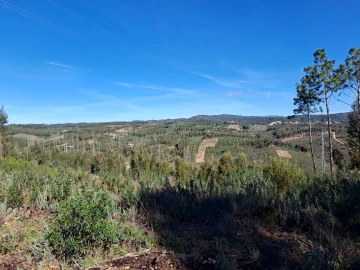 Terreno Agricola ou Rústico para Venda em Cardigos