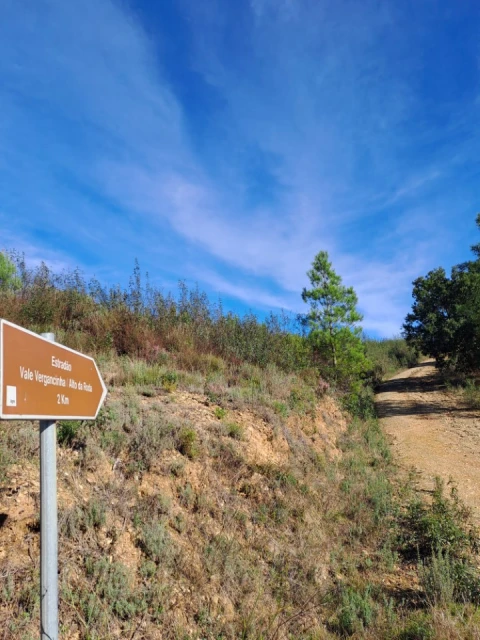 Terreno Agricola ou Rústico para Venda em Cardigos