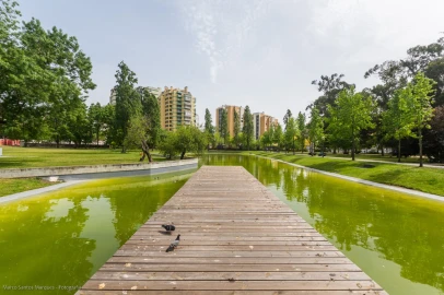 Apartamento T1 para Arrendamento em Lumiar