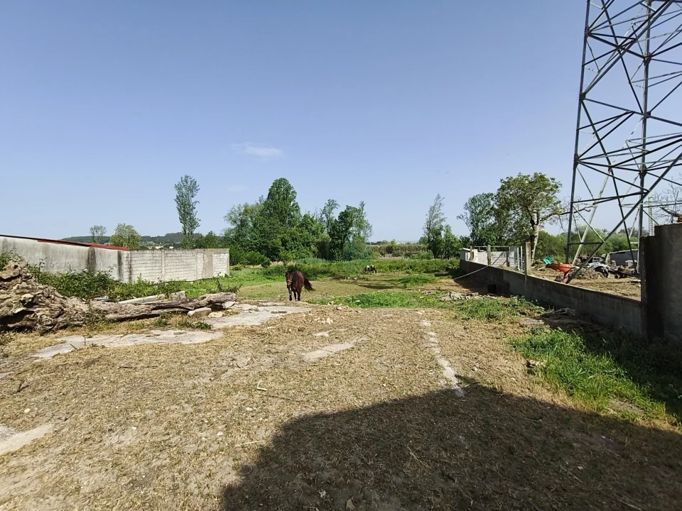 Moradia T3 para Venda em São João do Campo Foto 5