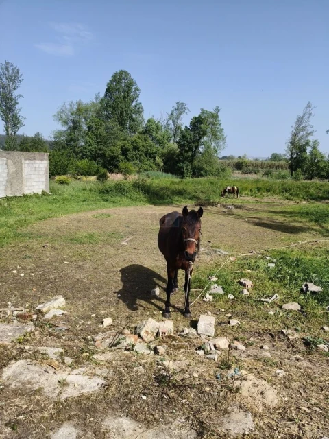 Moradia T3 para Venda em São João do Campo