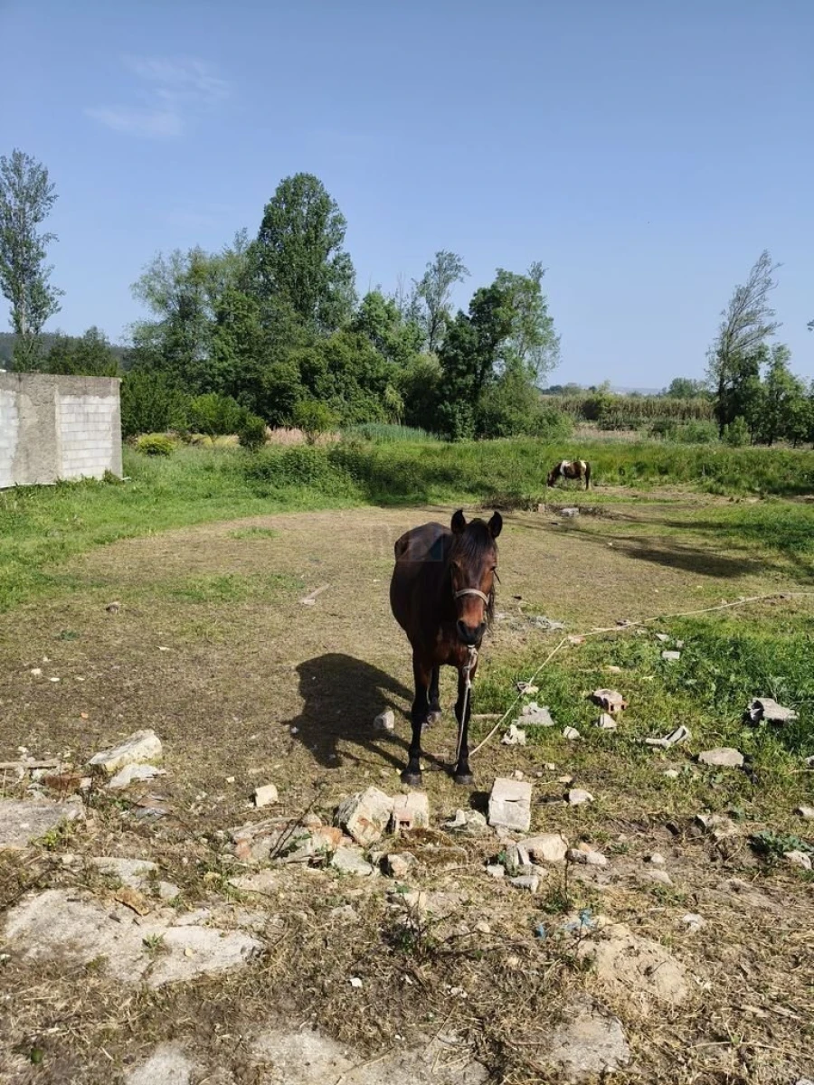 Moradia T3 para Venda em São João do Campo Foto 6