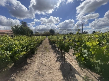 Quinta T2 para Venda em Pinhal Novo