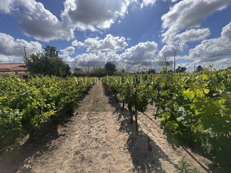 Quinta T2 para Venda em Pinhal Novo Foto 18