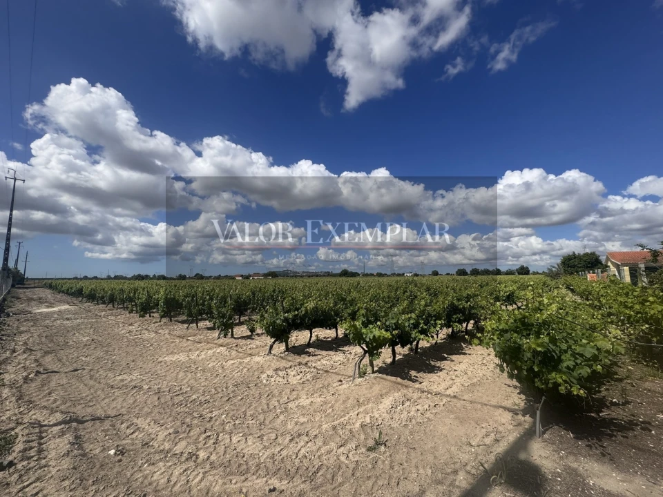 Quinta T2 para Venda em Pinhal Novo Foto 10