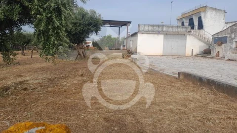 Moradia T3 para Venda em Corval