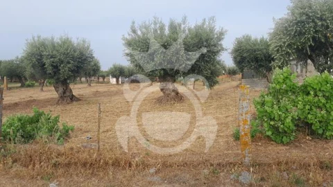 Moradia T3 para Venda em Corval