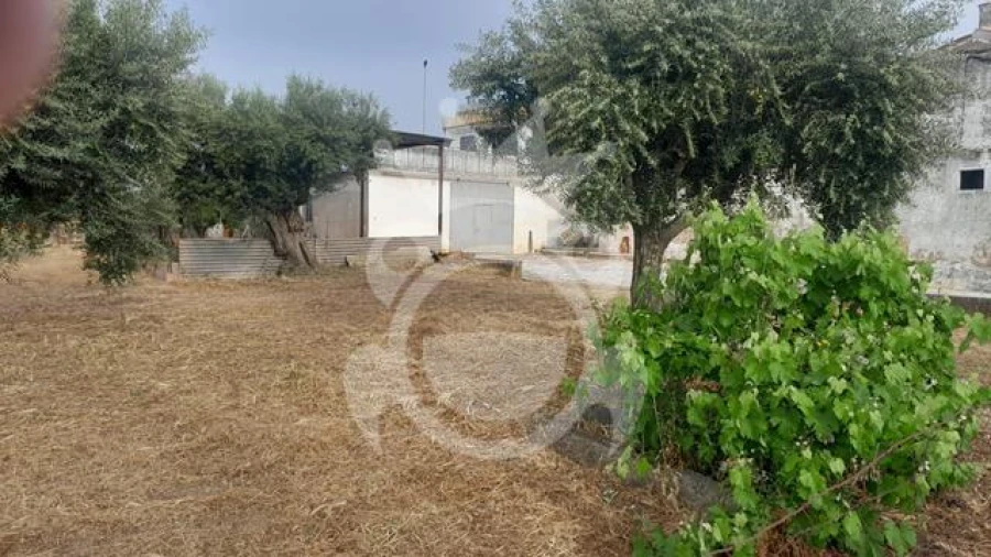 Moradia T3 para Venda em Corval Foto 7