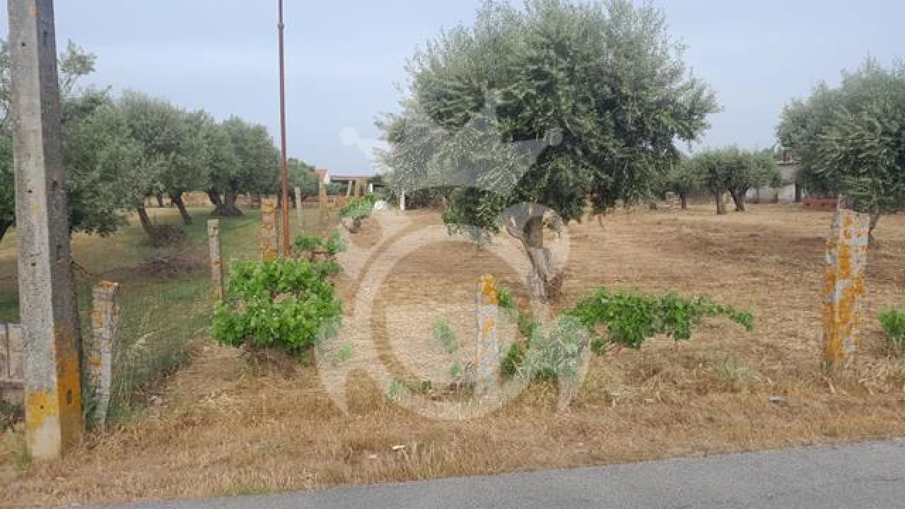 Moradia T3 para Venda em Corval Foto 5