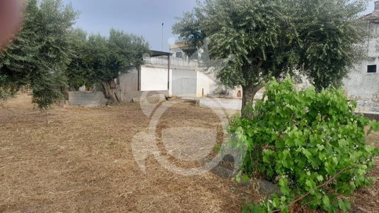 Moradia T3 para Venda em Corval Foto 7