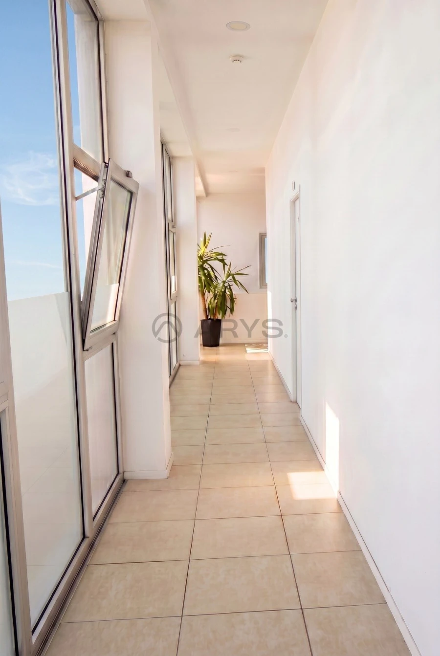 Armazém para Venda em Ferreiros e Gondizalves Foto 16