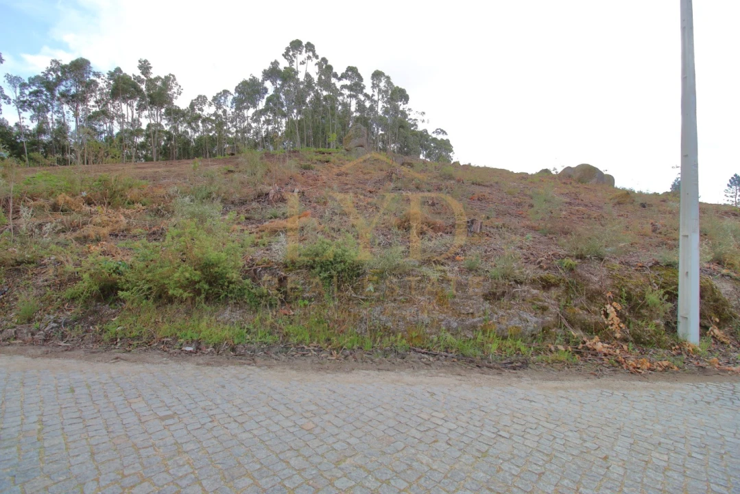 Terreno para Venda em Penafiel Foto 4