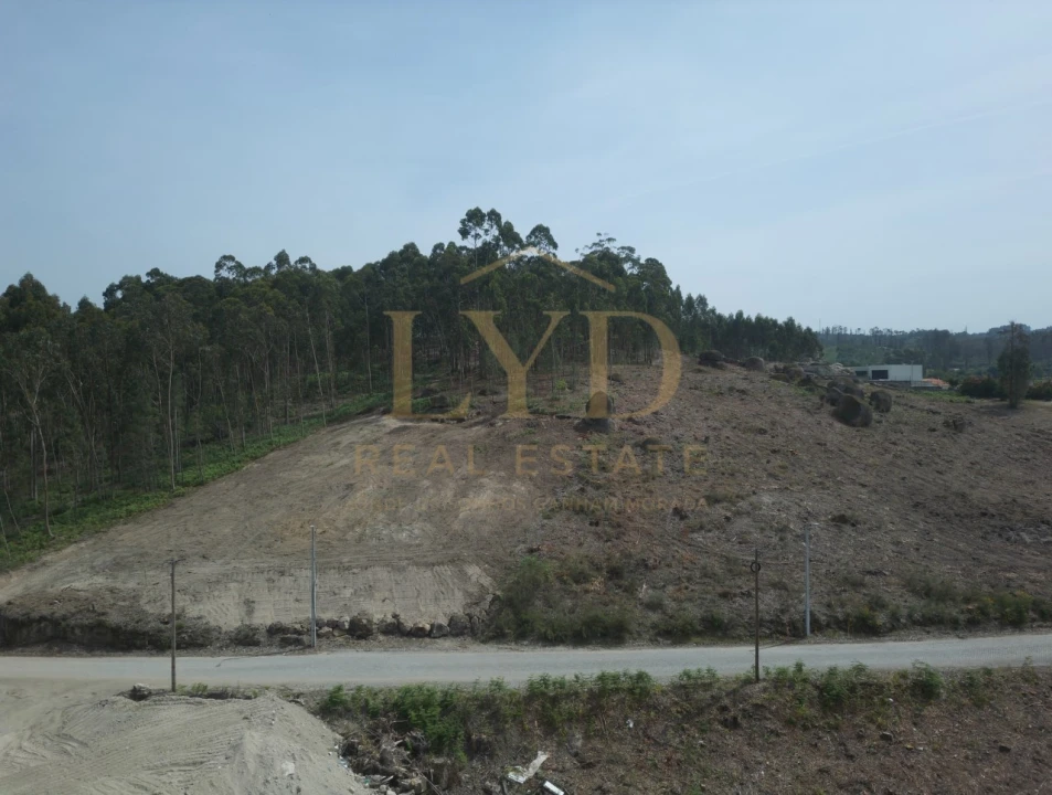 Terreno para Venda em Penafiel Foto 12