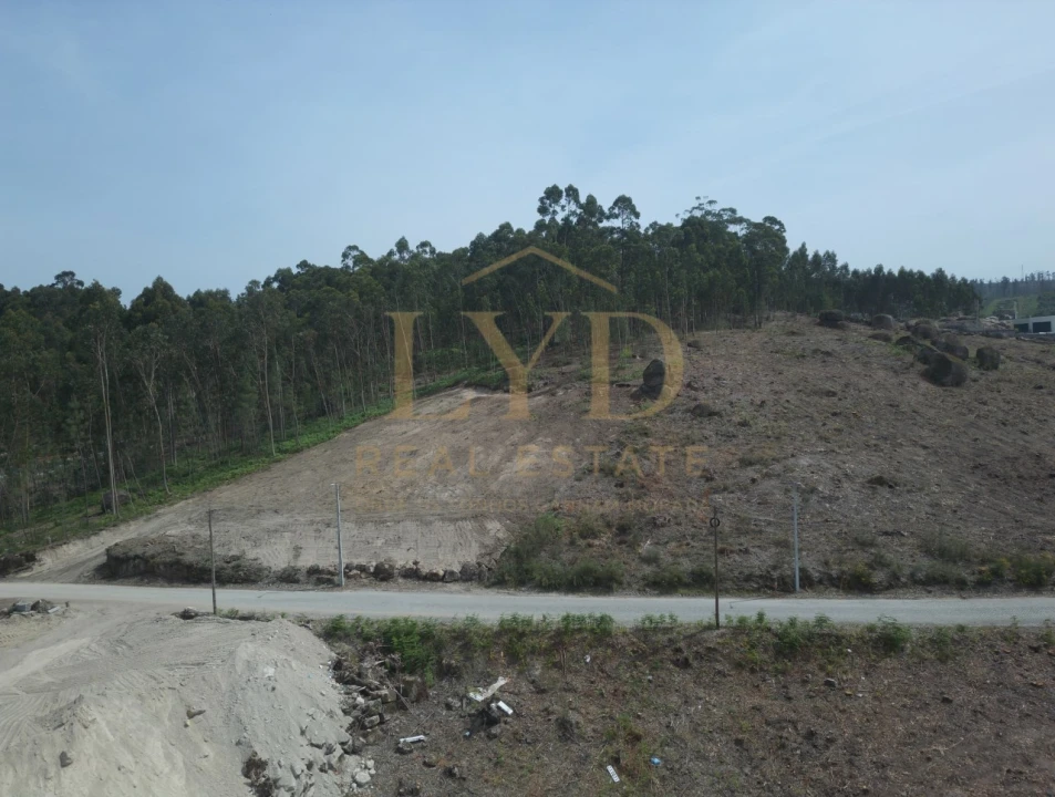 Terreno para Venda em Penafiel Foto 13