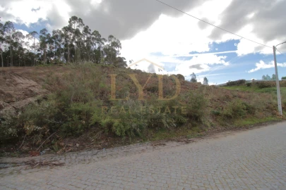 Terreno para Venda em Penafiel
