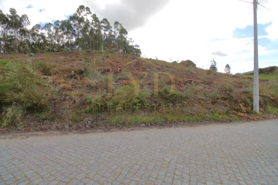 Terreno para Venda em Penafiel