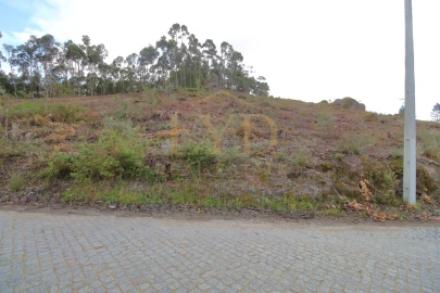 Terreno para Venda em Penafiel
